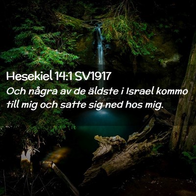 Picture 02 - Hesekiel 14:1 SV1917 - Och några av de äldste i Israel kommo till mig - Bible Verse Picture