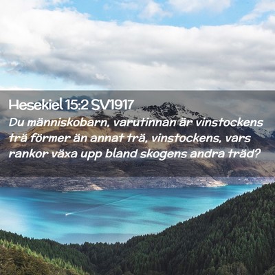 Picture 02 - Hesekiel 15:2 SV1917 - Du människobarn, varutinnan är vinstockens trä - Bible Verse Picture
