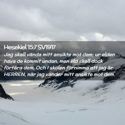 Picture 02 - Hesekiel 15:7 SV1917 - Jag skall vända mitt ansikte mot dem; ur elden - Bible Verse Picture