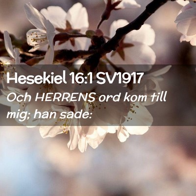 Picture 02 - Hesekiel 16:1 SV1917 - Och HERRENS ord kom till mig; han - Bible Verse Picture