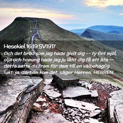 Picture 02 - Hesekiel 16:19 SV1917 - Och det bröd som jag hade givit dig -- ty fint - Bible Verse Picture