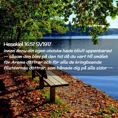 Picture 02 - Hesekiel 16:57 SV1917 - innan ännu din egen ondska hade blivit - Bible Verse Picture