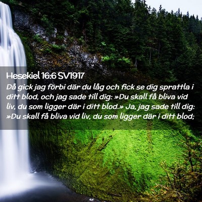 Picture 02 - Hesekiel 16:6 SV1917 - Då gick jag förbi där du låg och fick se dig - Bible Verse Picture