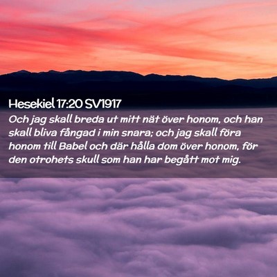 Picture 02 - Hesekiel 17:20 SV1917 - Och jag skall breda ut mitt nät över honom, och - Bible Verse Picture