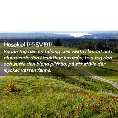 Picture 02 - Hesekiel 17:5 SV1917 - Sedan tog han en telning som växte i landet och - Bible Verse Picture