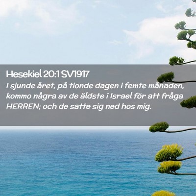 Picture 02 - Hesekiel 20:1 SV1917 - I sjunde året, på tionde dagen i femte - Bible Verse Picture