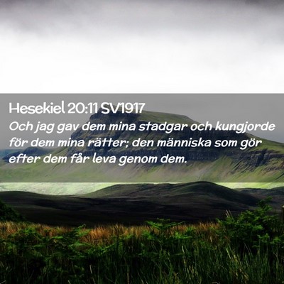 Picture 02 - Hesekiel 20:11 SV1917 - Och jag gav dem mina stadgar och kungjorde för - Bible Verse Picture