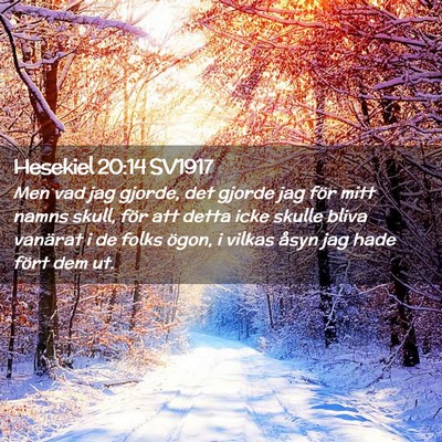 Picture 02 - Hesekiel 20:14 SV1917 - Men vad jag gjorde, det gjorde jag för mitt - Bible Verse Picture