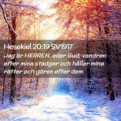 Picture 02 - Hesekiel 20:19 SV1917 - Jag är HERREN, eder Gud; vandren efter mina - Bible Verse Picture
