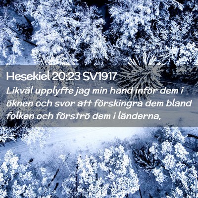 Picture 02 - Hesekiel 20:23 SV1917 - Likväl upplyfte jag min hand inför dem i öknen - Bible Verse Picture