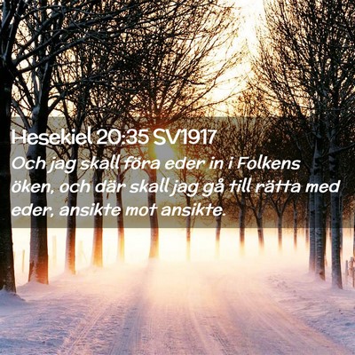 Picture 02 - Hesekiel 20:35 SV1917 - Och jag skall föra eder in i Folkens öken, och - Bible Verse Picture