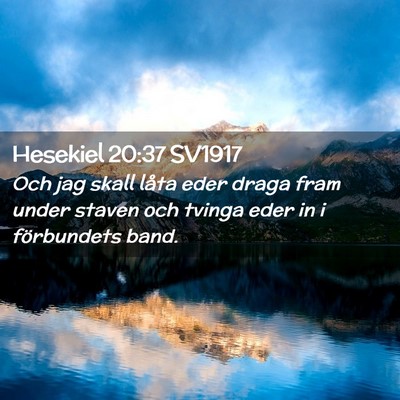 Picture 02 - Hesekiel 20:37 SV1917 - Och jag skall låta eder draga fram under staven - Bible Verse Picture