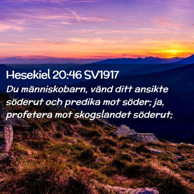 Picture 02 - Hesekiel 20:46 SV1917 - Du människobarn, vänd ditt ansikte söderut och - Bible Verse Picture