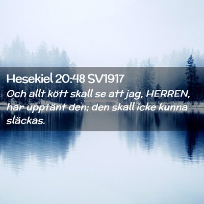 Picture 02 - Hesekiel 20:48 SV1917 - Och allt kött skall se att jag, HERREN, har - Bible Verse Picture