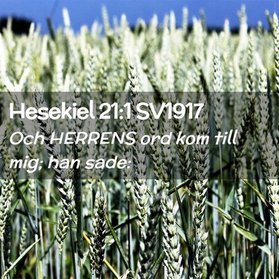 Picture 02 - Hesekiel 21:1 SV1917 - Och HERRENS ord kom till mig; han - Bible Verse Picture