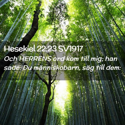 Picture 02 - Hesekiel 22:23 SV1917 - Och HERRENS ord kom till mig; han sade: Du - Bible Verse Picture
