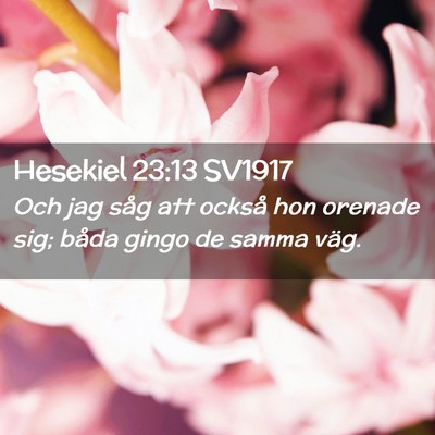 Picture 02 - Hesekiel 23:13 SV1917 - Och jag såg att också hon orenade sig; båda - Bible Verse Picture
