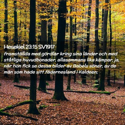 Picture 02 - Hesekiel 23:15 SV1917 - framställda med gördlar kring sina länder och - Bible Verse Picture