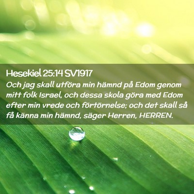 Picture 02 - Hesekiel 25:14 SV1917 - Och jag skall utföra min hämnd på Edom genom - Bible Verse Picture