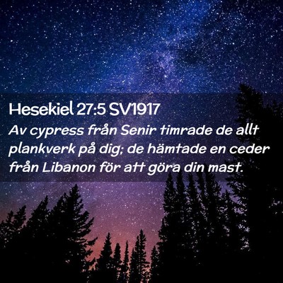 Picture 02 - Hesekiel 27:5 SV1917 - Av cypress från Senir timrade de allt plankverk - Bible Verse Picture