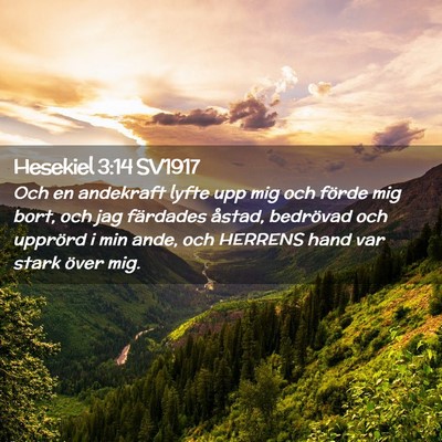 Picture 02 - Hesekiel 3:14 SV1917 - Och en andekraft lyfte upp mig och förde mig - Bible Verse Picture