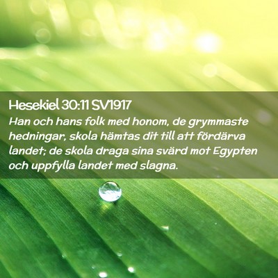 Picture 02 - Hesekiel 30:11 SV1917 - Han och hans folk med honom, de grymmaste - Bible Verse Picture