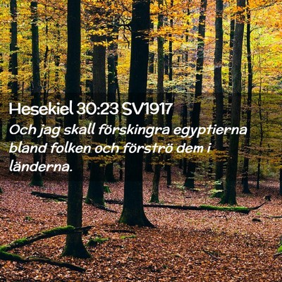 Picture 02 - Hesekiel 30:23 SV1917 - Och jag skall förskingra egyptierna bland folken - Bible Verse Picture