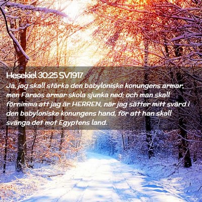 Picture 02 - Hesekiel 30:25 SV1917 - Ja, jag skall stärka den babyloniske konungens - Bible Verse Picture