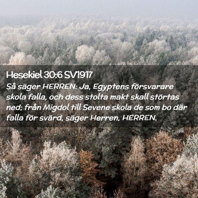 Picture 02 - Hesekiel 30:6 SV1917 - Så säger HERREN: Ja, Egyptens försvarare skola - Bible Verse Picture