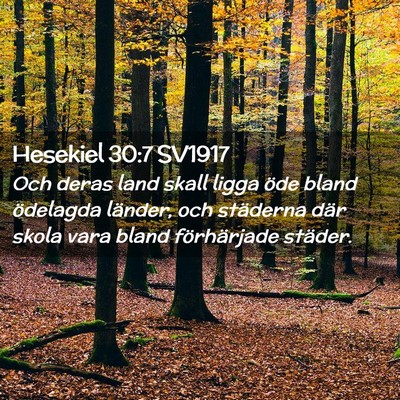 Picture 02 - Hesekiel 30:7 SV1917 - Och deras land skall ligga öde bland ödelagda - Bible Verse Picture