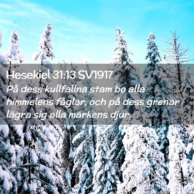 Picture 02 - Hesekiel 31:13 SV1917 - På dess kullfallna stam bo alla himmelens - Bible Verse Picture