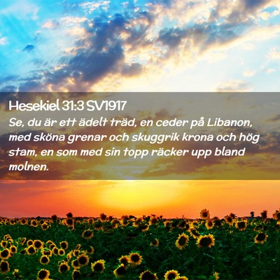 Picture 02 - Hesekiel 31:3 SV1917 - Se, du är ett ädelt träd, en ceder på - Bible Verse Picture