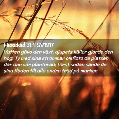 Picture 02 - Hesekiel 31:4 SV1917 - Vatten gåvo den växt, djupets källor gjorde - Bible Verse Picture