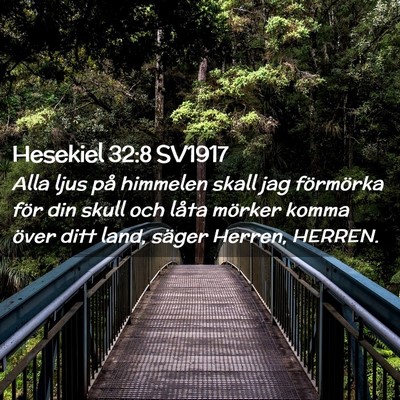 Picture 02 - Hesekiel 32:8 SV1917 - Alla ljus på himmelen skall jag förmörka för - Bible Verse Picture