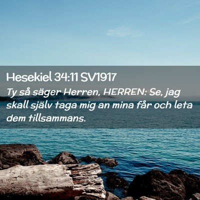 Picture 02 - Hesekiel 34:11 SV1917 - Ty så säger Herren, HERREN: Se, jag skall - Bible Verse Picture