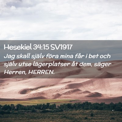 Picture 02 - Hesekiel 34:15 SV1917 - Jag skall själv föra mina får i bet och själv - Bible Verse Picture