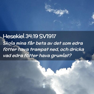 Picture 02 - Hesekiel 34:19 SV1917 - Skola mina får beta av det som edra fötter hava - Bible Verse Picture