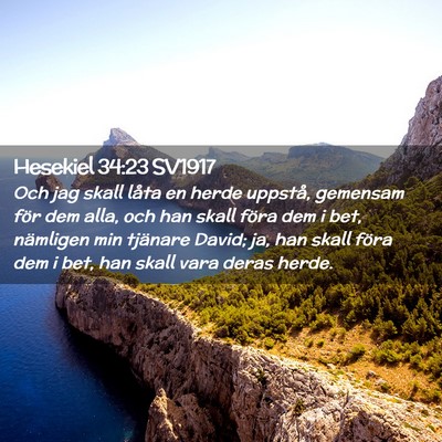 Picture 02 - Hesekiel 34:23 SV1917 - Och jag skall låta en herde uppstå, gemensam - Bible Verse Picture