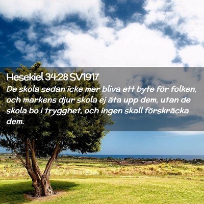 Picture 02 - Hesekiel 34:28 SV1917 - De skola sedan icke mer bliva ett byte för - Bible Verse Picture