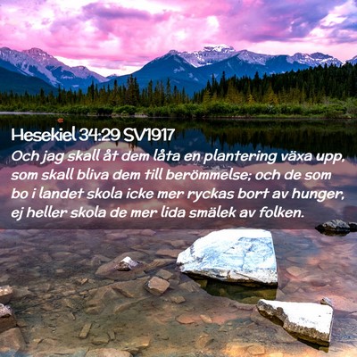 Picture 02 - Hesekiel 34:29 SV1917 - Och jag skall åt dem låta en plantering växa - Bible Verse Picture