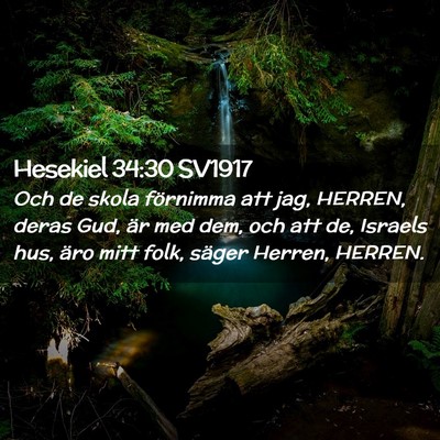 Picture 02 - Hesekiel 34:30 SV1917 - Och de skola förnimma att jag, HERREN, deras - Bible Verse Picture