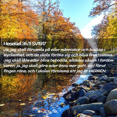 Picture 02 - Hesekiel 36:11 SV1917 - Ja, jag skall församla på eder människor och - Bible Verse Picture