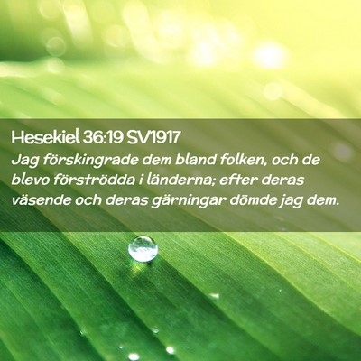 Picture 02 - Hesekiel 36:19 SV1917 - Jag förskingrade dem bland folken, och de blevo - Bible Verse Picture
