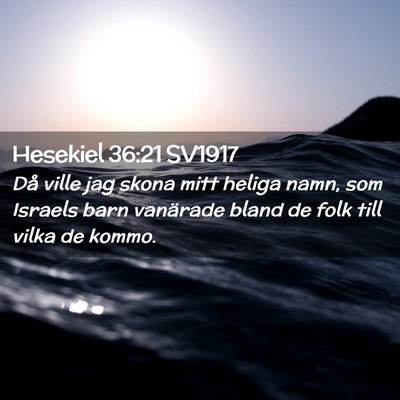 Picture 02 - Hesekiel 36:21 SV1917 - Då ville jag skona mitt heliga namn, som Israels - Bible Verse Picture