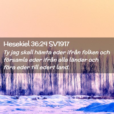 Picture 02 - Hesekiel 36:24 SV1917 - Ty jag skall hämta eder ifrån folken och - Bible Verse Picture