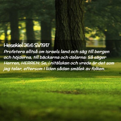 Picture 02 - Hesekiel 36:6 SV1917 - Profetera alltså om Israels land och säg till - Bible Verse Picture