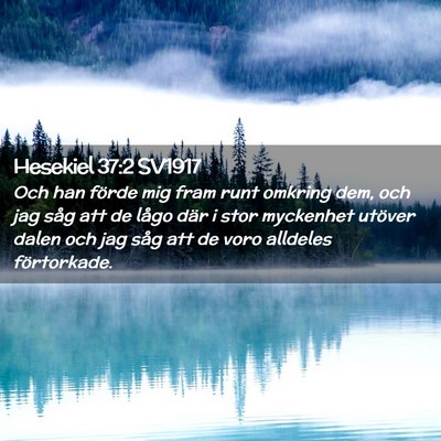 Picture 02 - Hesekiel 37:2 SV1917 - Och han förde mig fram runt omkring dem, och jag - Bible Verse Picture