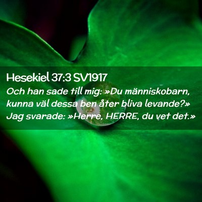 Picture 02 - Hesekiel 37:3 SV1917 - Och han sade till mig: »Du människobarn, kunna - Bible Verse Picture
