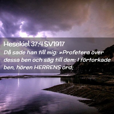 Picture 02 - Hesekiel 37:4 SV1917 - Då sade han till mig: »Profetera över dessa - Bible Verse Picture