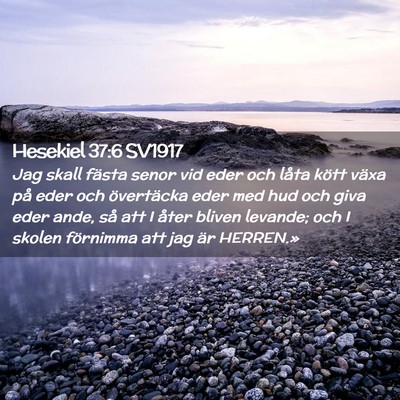 Picture 02 - Hesekiel 37:6 SV1917 - Jag skall fästa senor vid eder och låta kött - Bible Verse Picture